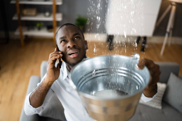 Best Water damage contractors near me  in Tishomingo, OK