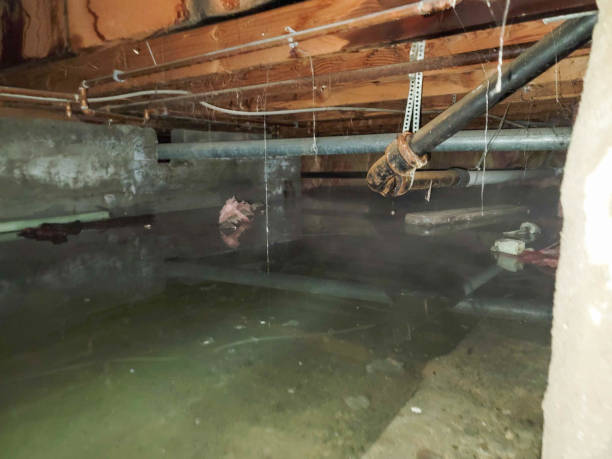 Best Water damage restoration near me  in Tishomingo, OK