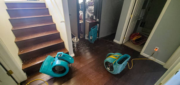Best Basement water damage restoration  in Tishomingo, OK