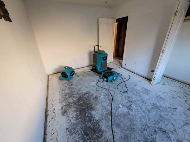 Best 24-hour water damage restoration  in Tishomingo, OK