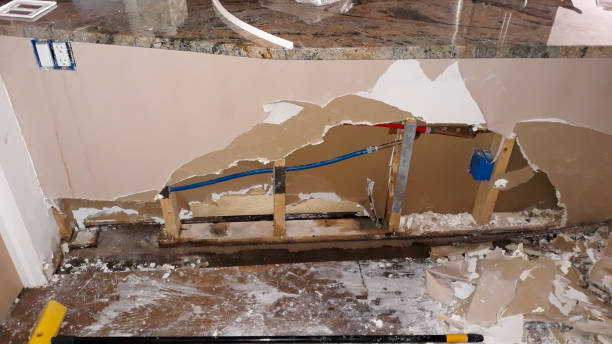 Best Local water damage restoration  in Tishomingo, OK