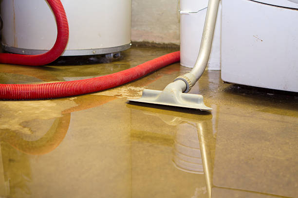 Best Water damage cleanup near me  in Tishomingo, OK