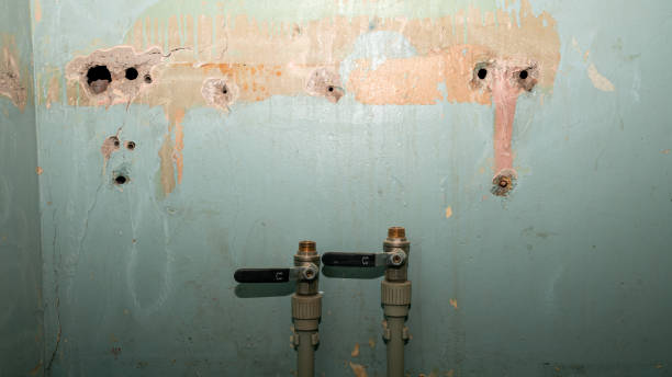 Best Fire Damage Restoration  in Tishomingo, OK