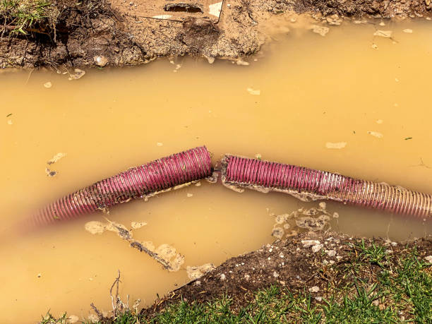 Best Commercial water damage restoration  in Tishomingo, OK